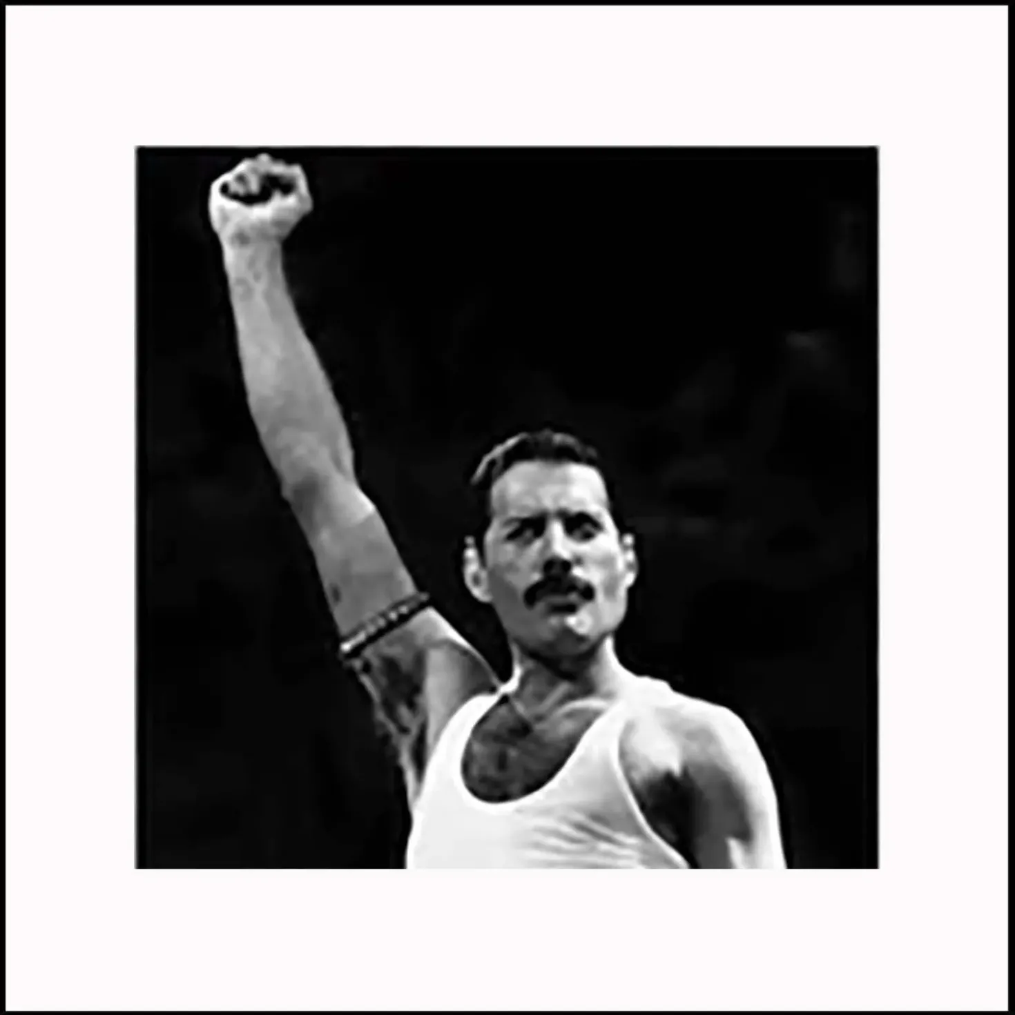 Stampa con cornice Freddy mercury nero 40x40 cm
