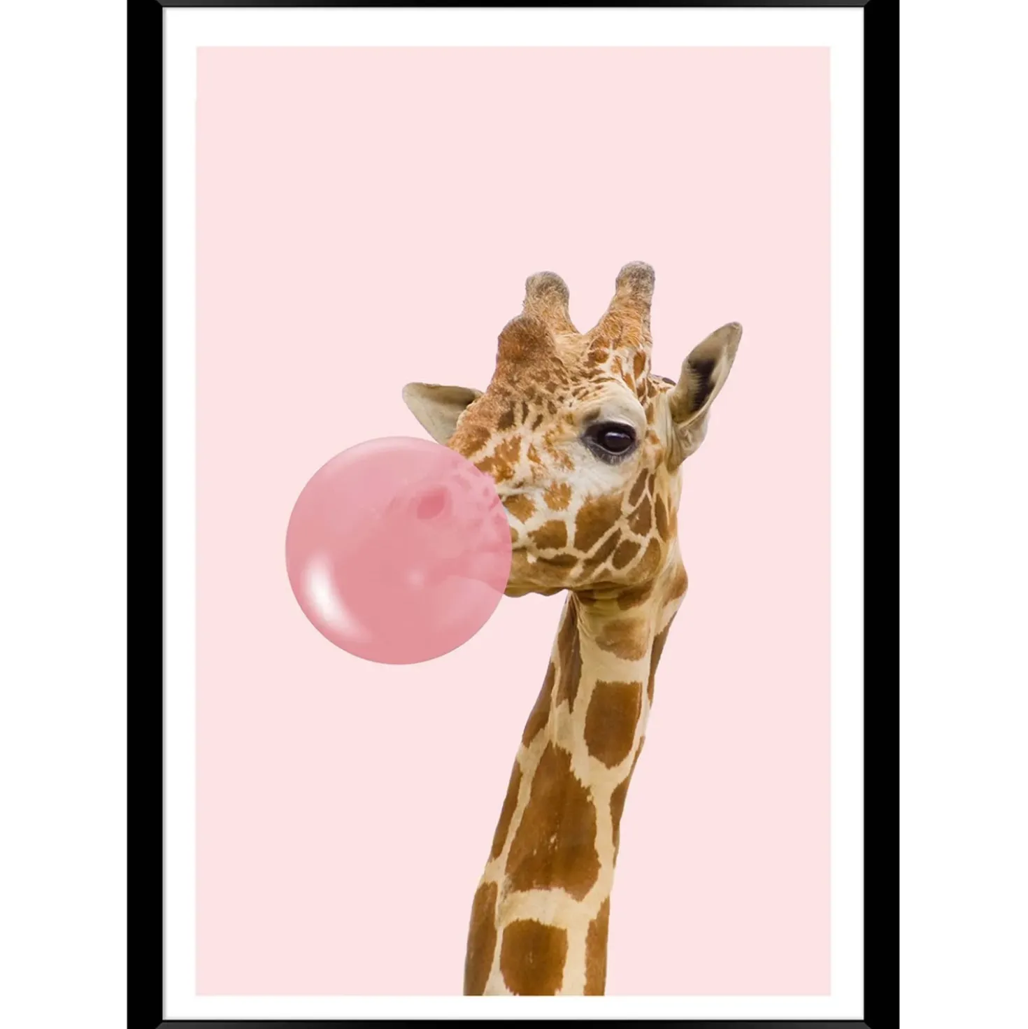 Stampa con cornice Giraffe nero 30x40 cm