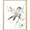 Stampa incorniciata uccellino 30 x 40 cm
