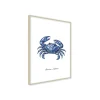 Stampa incorniciata 30x40 cm blue crab
