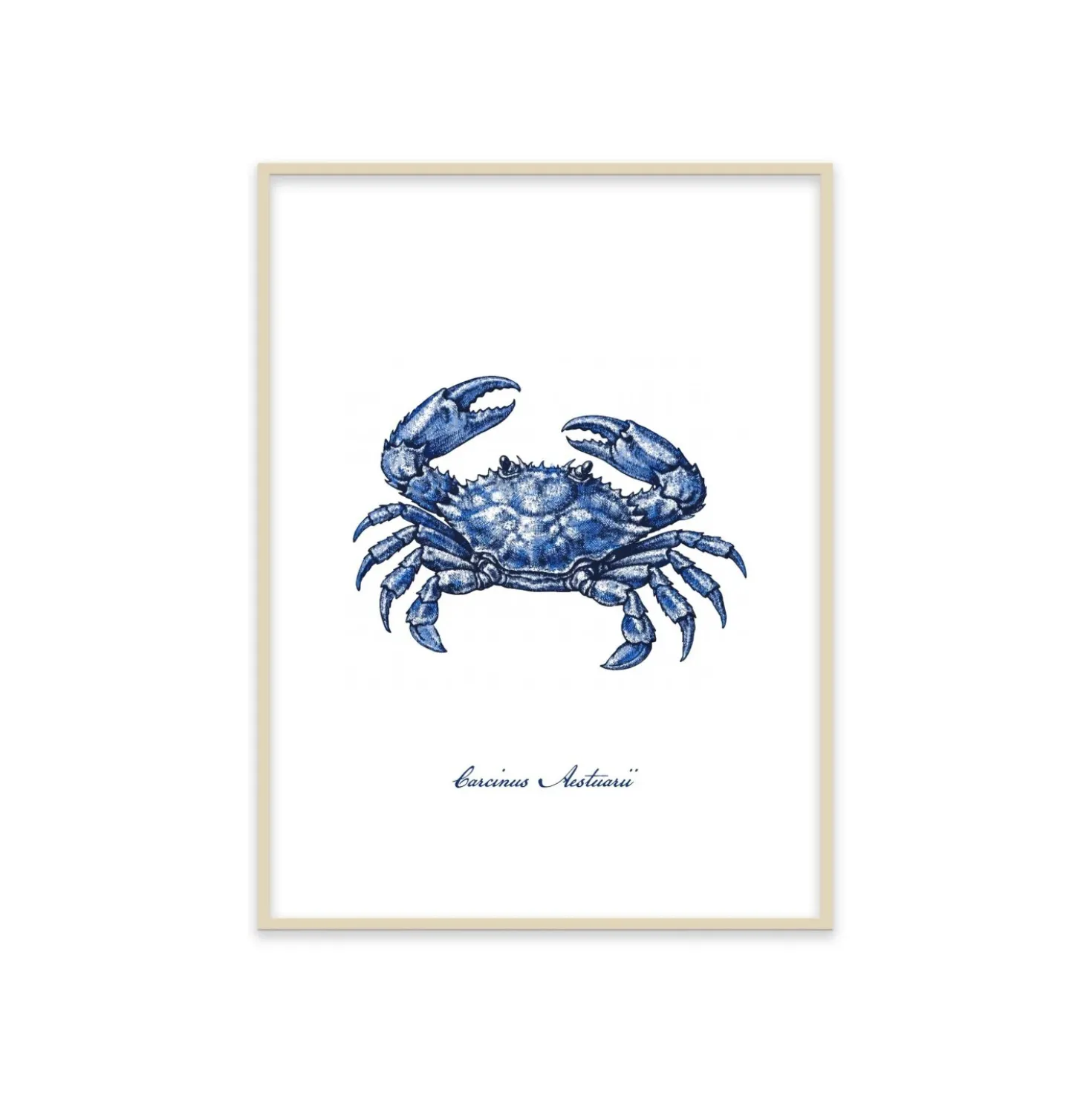 Stampa incorniciata 30x40 cm blue crab