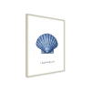 Stampa incorniciata 30x40 cm blue shell