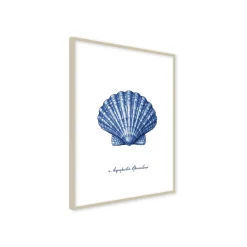 Stampa incorniciata 30x40 cm blue shell