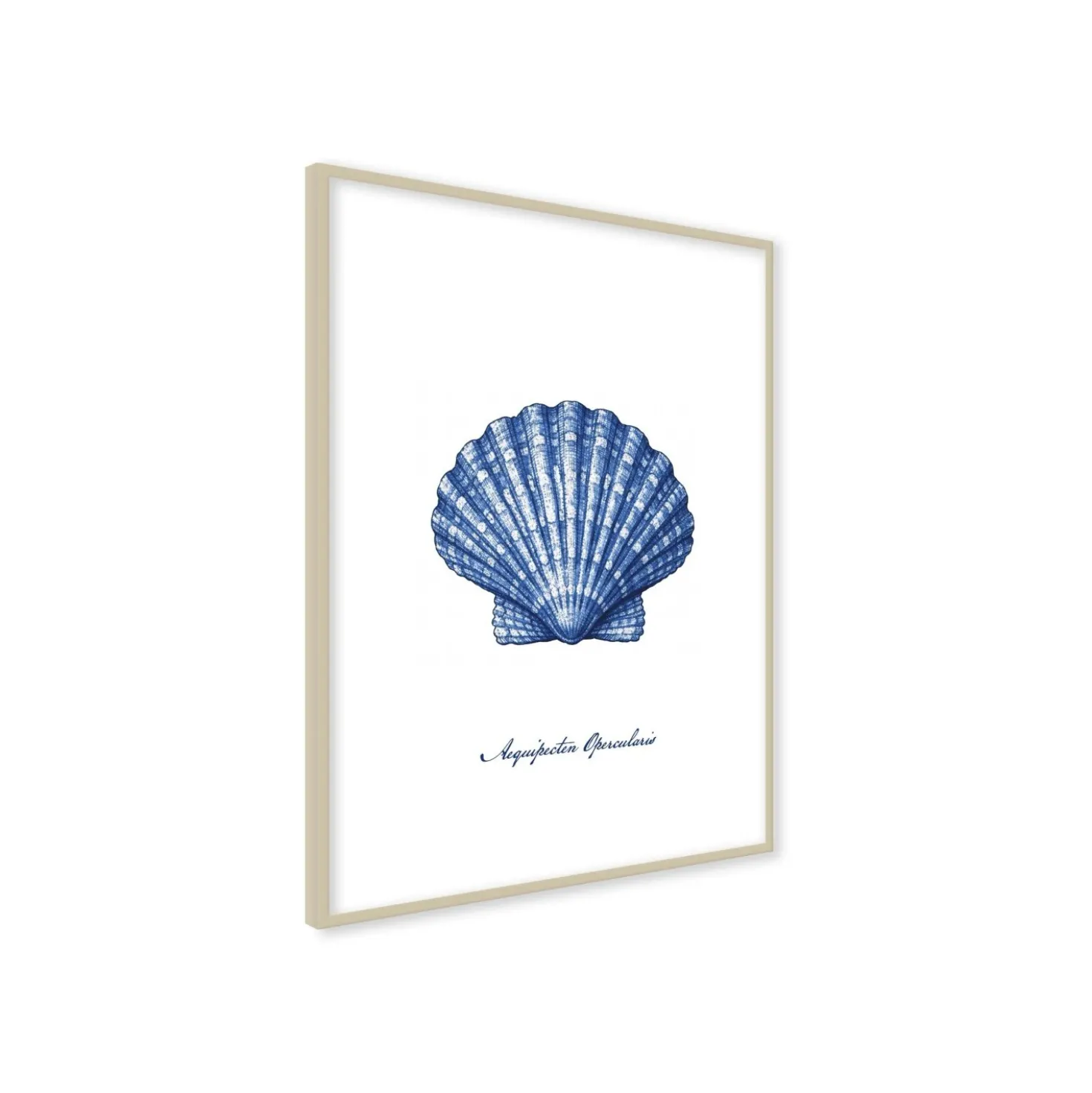 Stampa incorniciata 30x40 cm blue shell