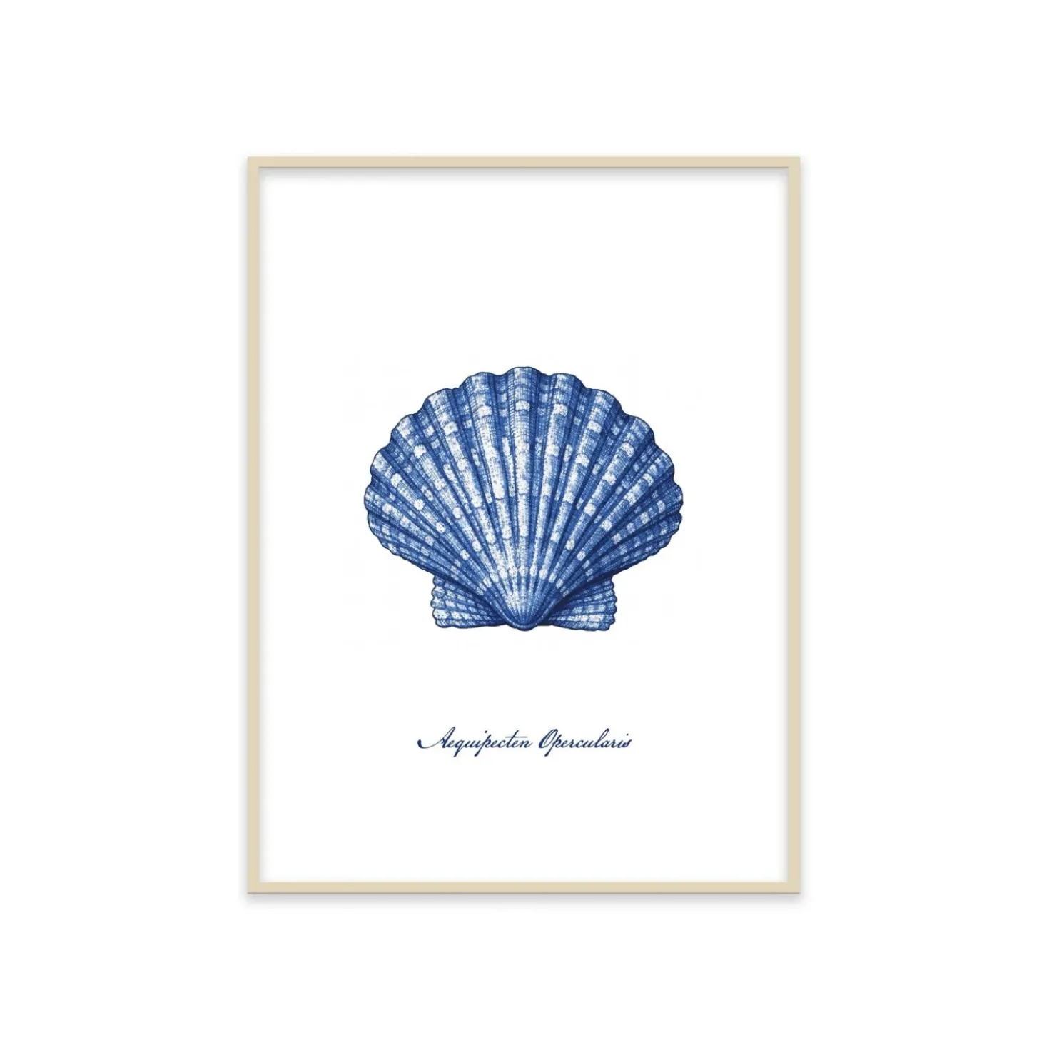 Stampa incorniciata 30x40 cm blue shell