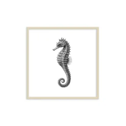 Stampa incorniciata 30x30 cm sea fin