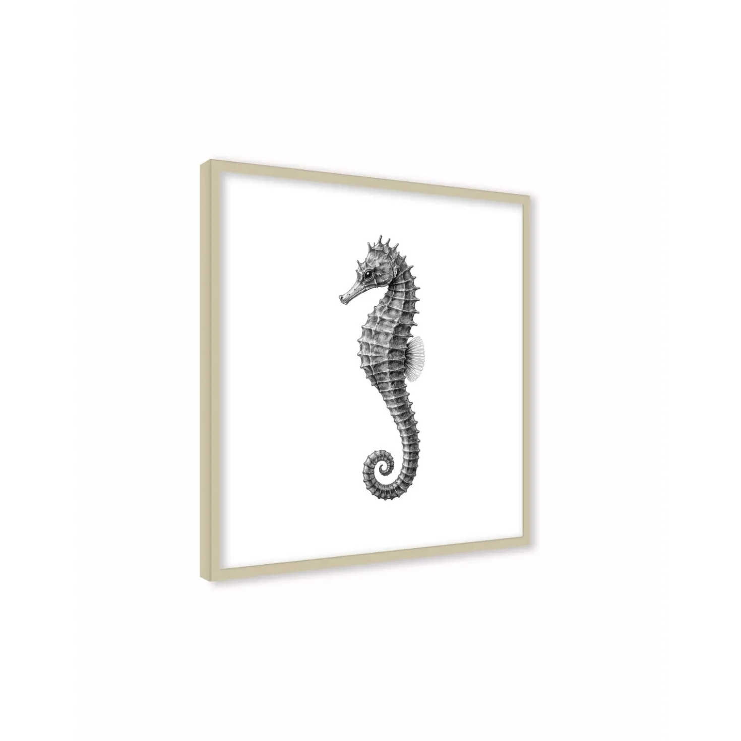 Stampa incorniciata 30x30 cm sea fin