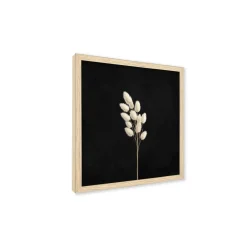 Stampa incorniciata 25x25 cm set pampas - foglie 2