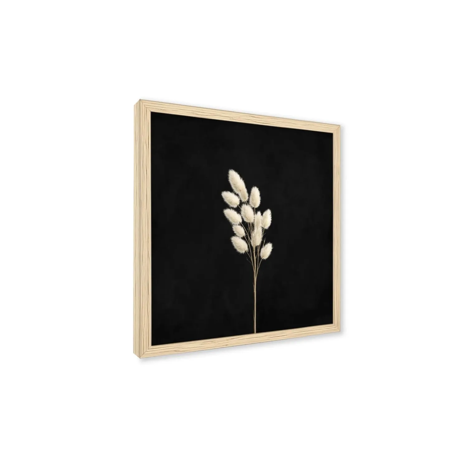 Stampa incorniciata 25x25 cm set pampas - foglie 2