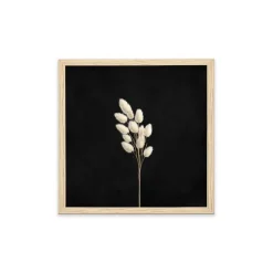 Stampa incorniciata 25x25 cm set pampas - foglie 2