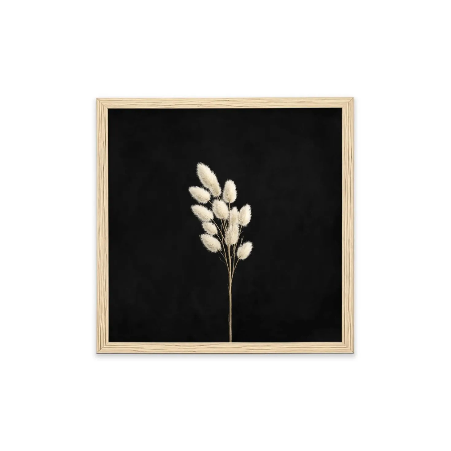 Stampa incorniciata 25x25 cm set pampas - foglie 2