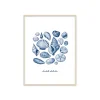 Stampa incorniciata 30x40 cm seashells collection