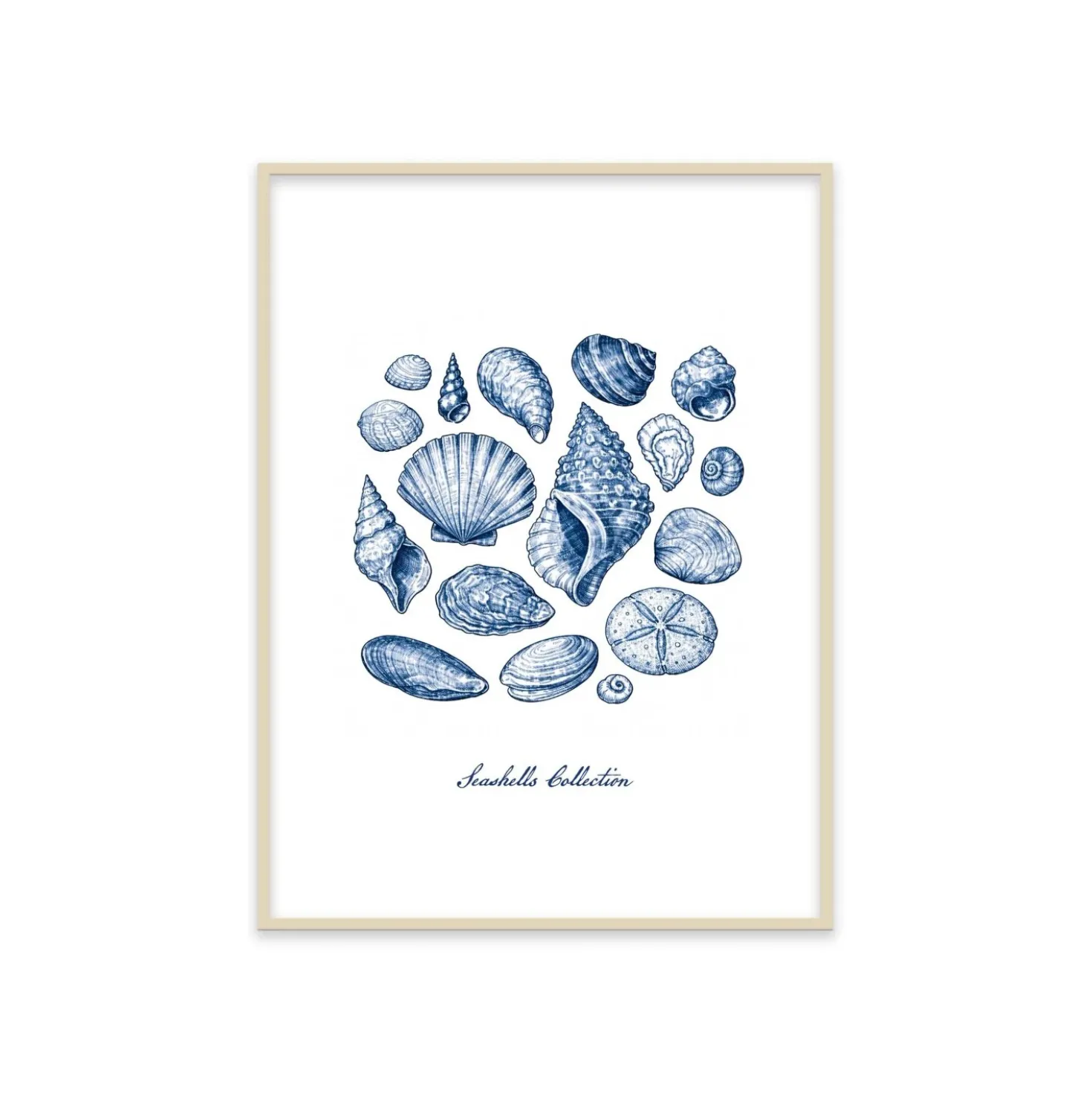 Stampa incorniciata 30x40 cm seashells collection