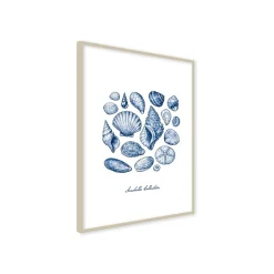 Stampa incorniciata 30x40 cm seashells collection