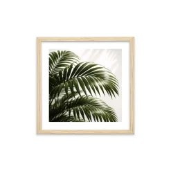 Stampa incorniciata 25x25 cm set piante - palm