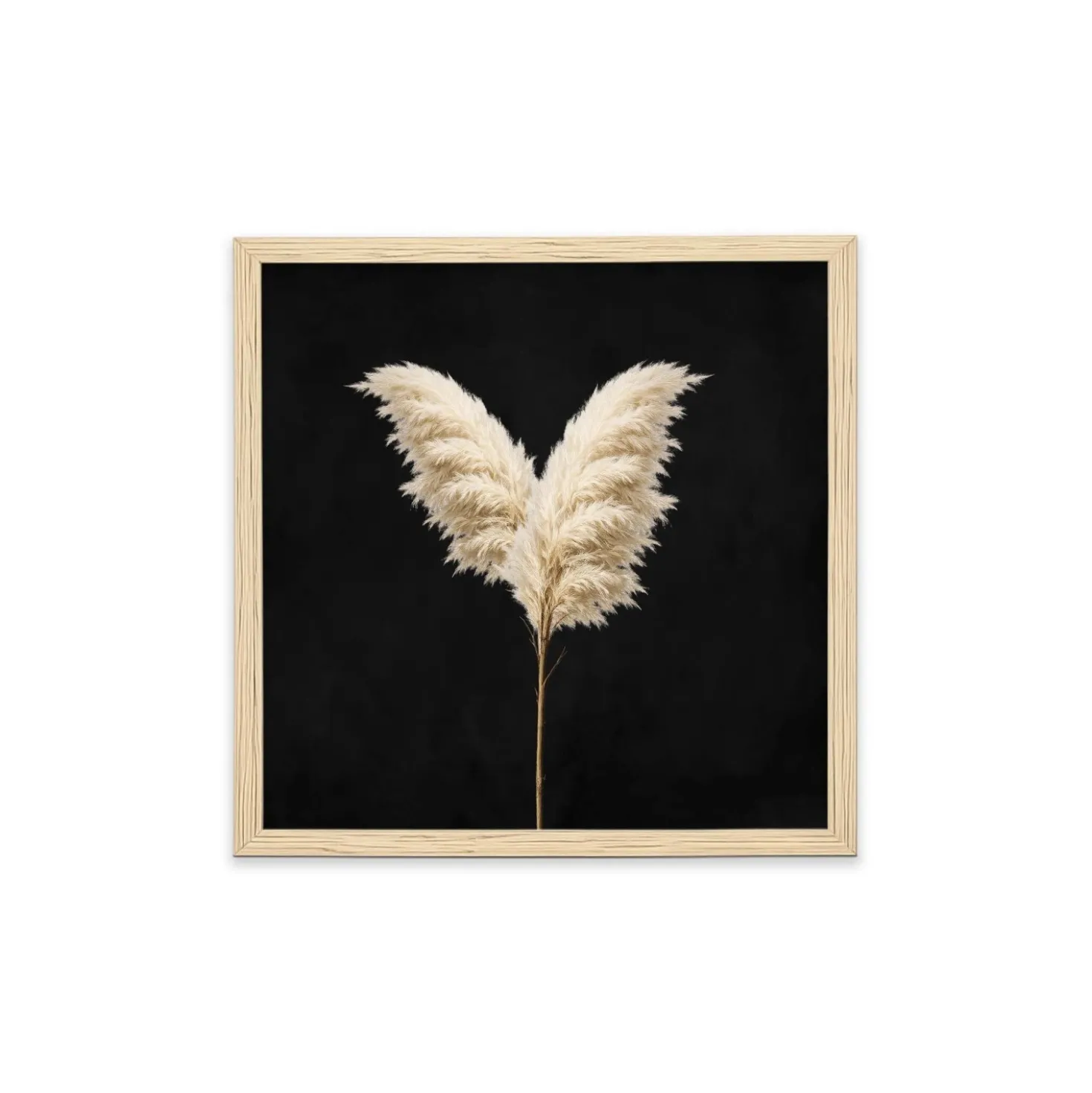 Stampa incorniciata 25x25 cm set pampas - foglie 1