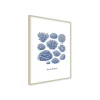Stampa incorniciata 30x40 cm corals collection