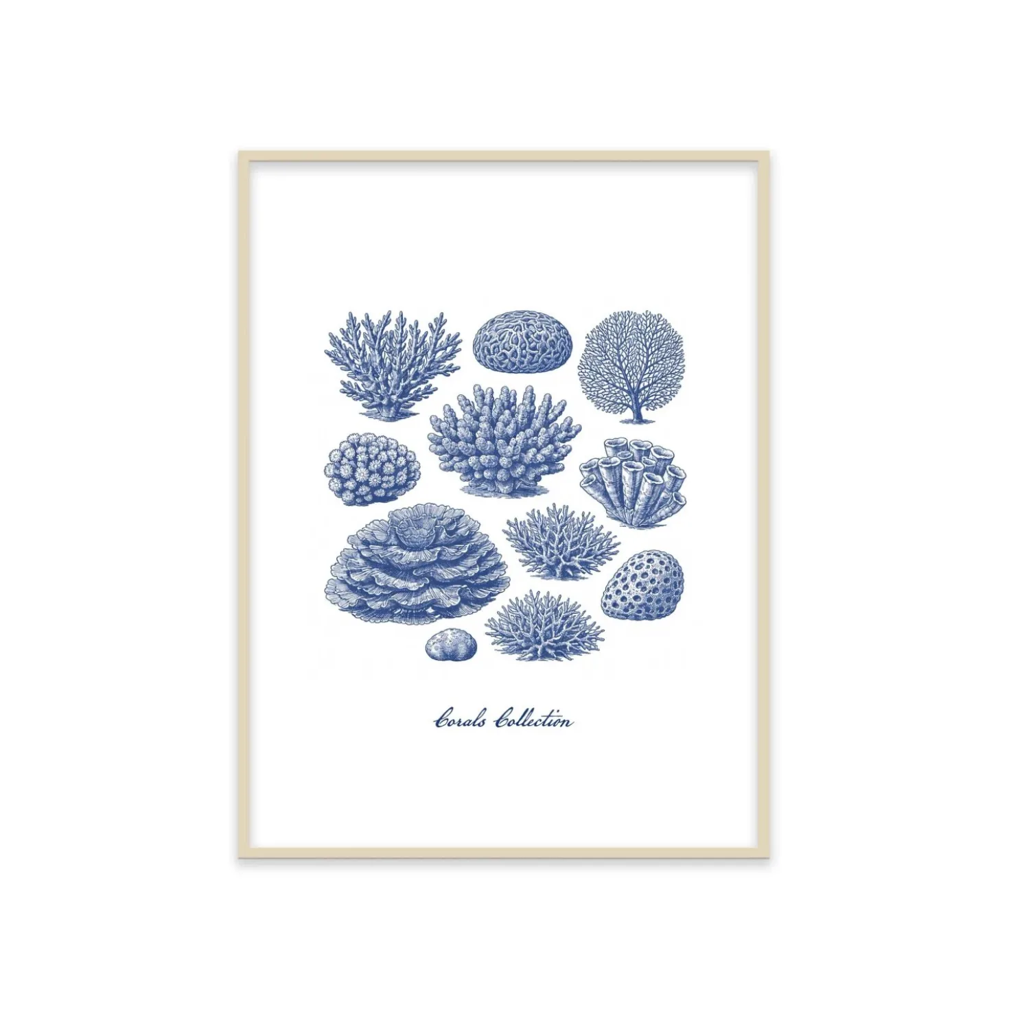 Stampa incorniciata 30x40 cm corals collection