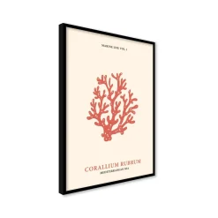 Stampa incorniciata 50x70 cm coral