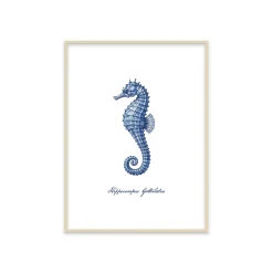 Stampa incorniciata 30x40 cm blue seahorse