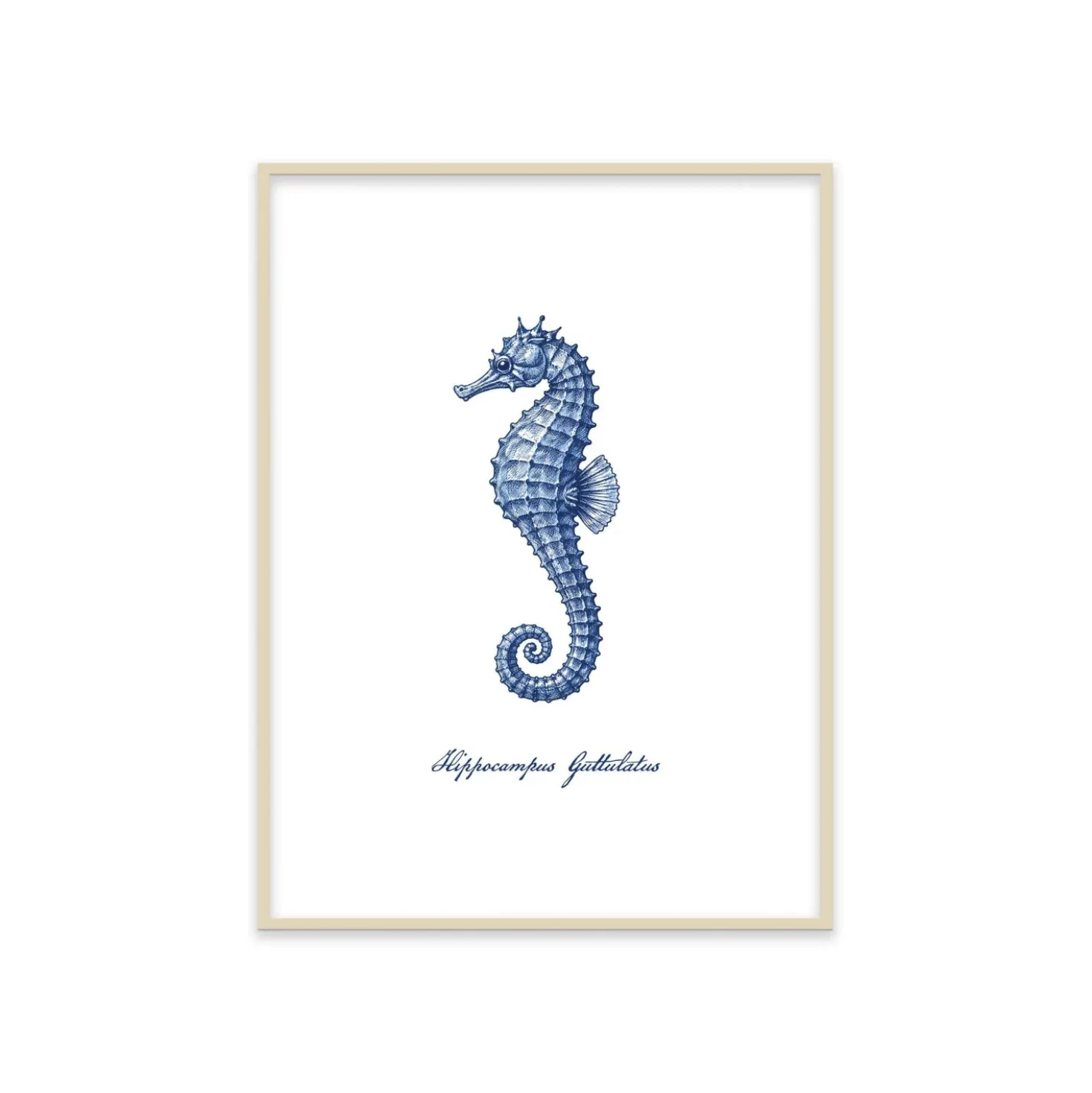 Stampa incorniciata 30x40 cm blue seahorse