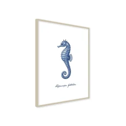 Stampa incorniciata 30x40 cm blue seahorse