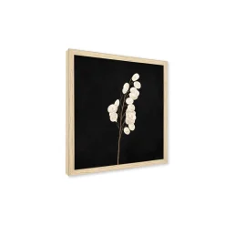 Stampa incorniciata 25x25 cm set pampas - fiori