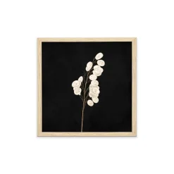 Stampa incorniciata 25x25 cm set pampas - fiori