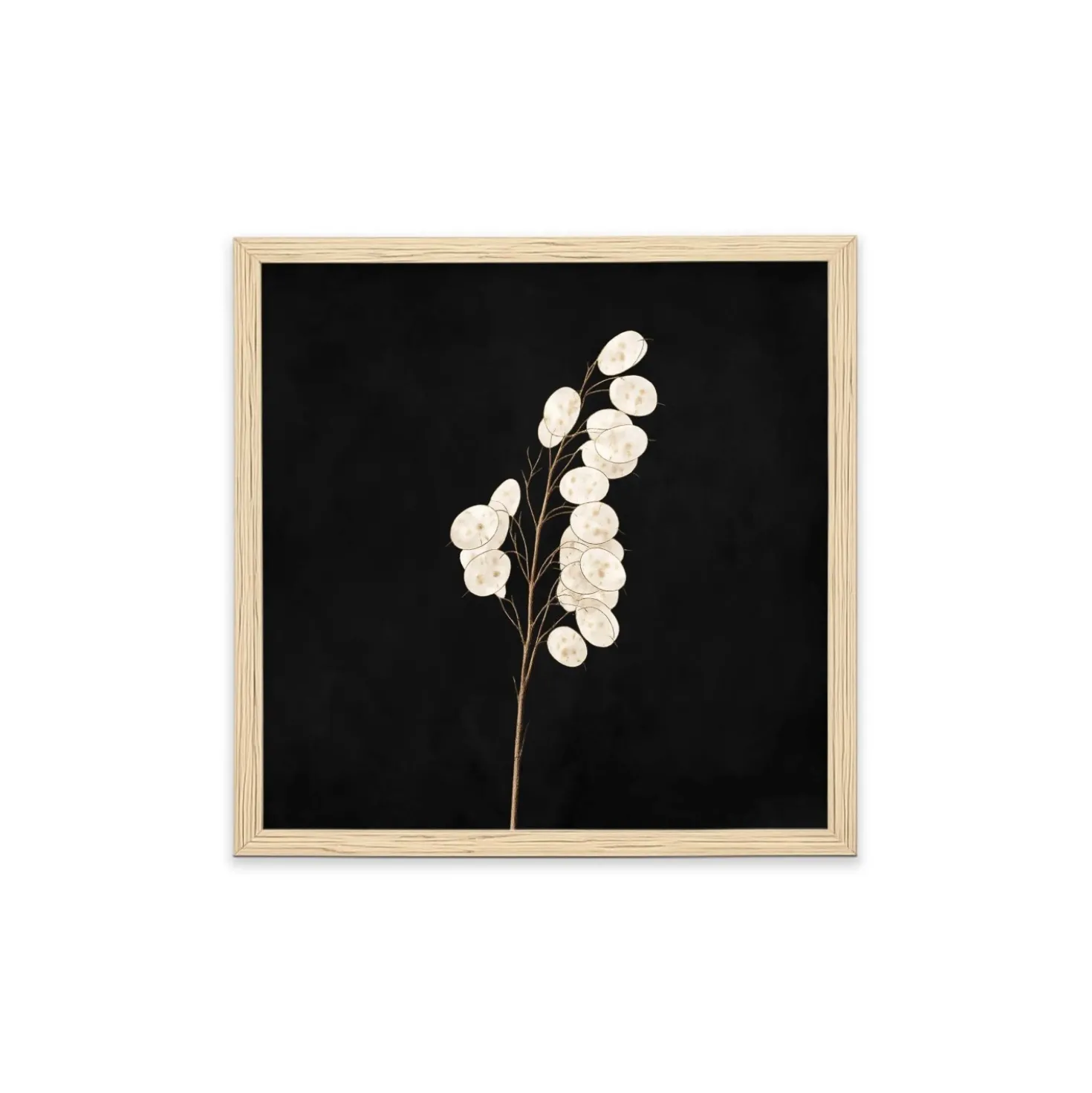 Stampa incorniciata 25x25 cm set pampas - fiori