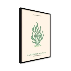 Stampa incorniciata 50x70 cm seaweeds