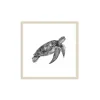 Stampa incorniciata 30x30 cm sea turtle