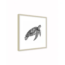 Stampa incorniciata 30x30 cm sea turtle