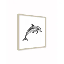 Stampa incorniciata 30x30 cm sea dolphin