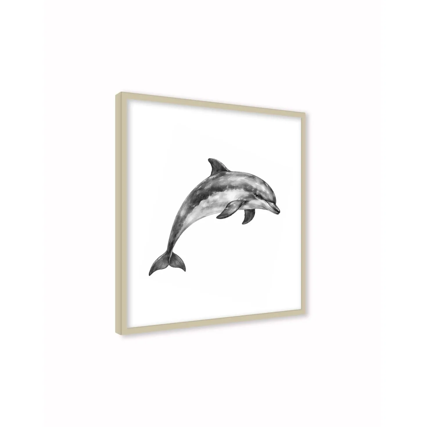Stampa incorniciata 30x30 cm sea dolphin