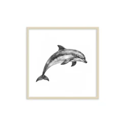 Stampa incorniciata 30x30 cm sea dolphin