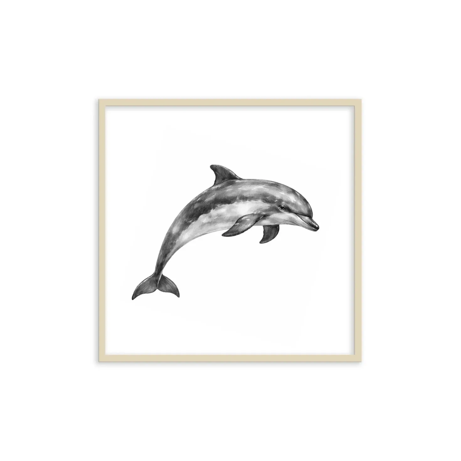 Stampa incorniciata 30x30 cm sea dolphin