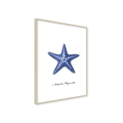 Stampa incorniciata 30x40 cm blue star