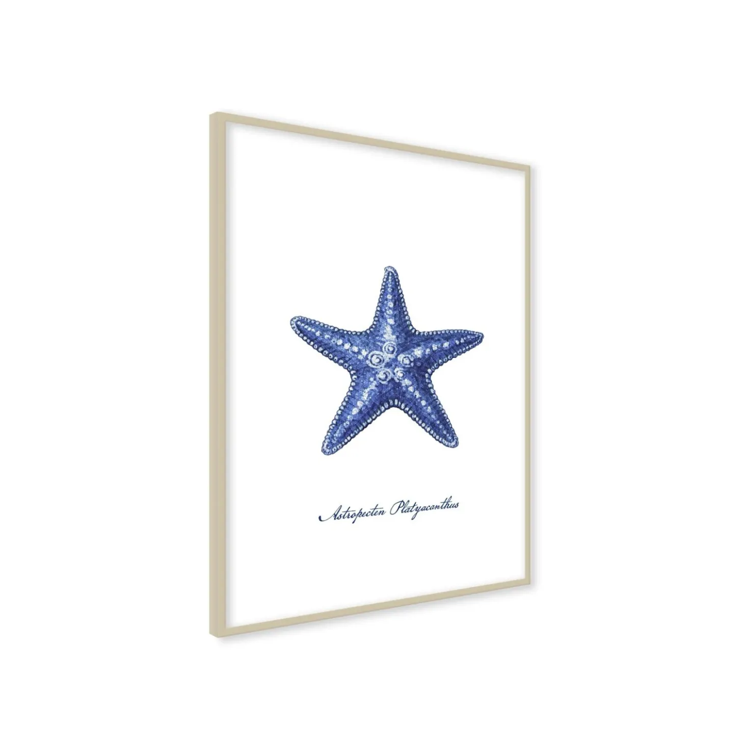 Stampa incorniciata 30x40 cm blue star
