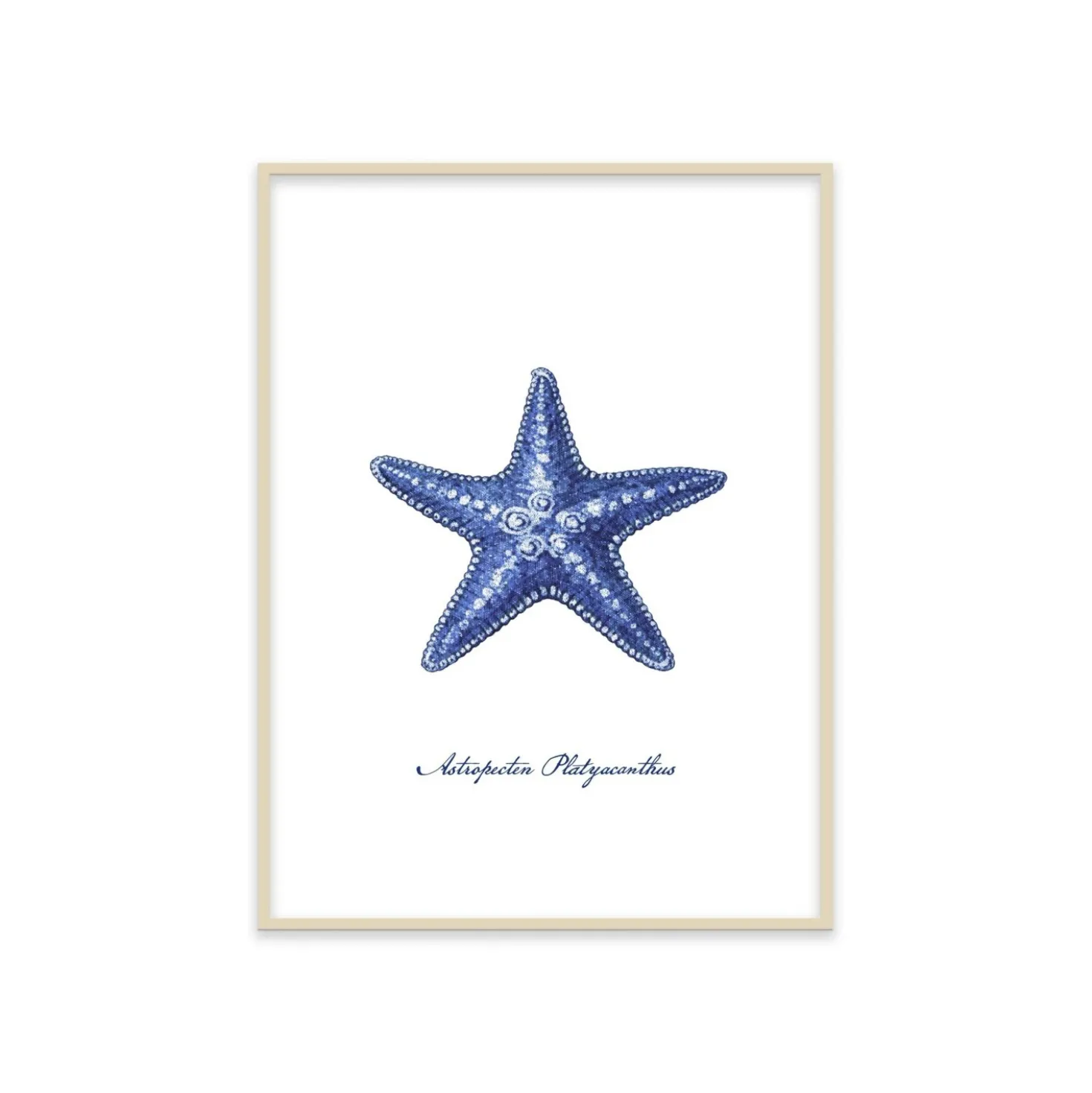 Stampa incorniciata 30x40 cm blue star