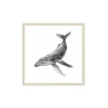Stampa incorniciata 30x30 cm sea whale