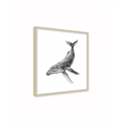 Stampa incorniciata 30x30 cm sea whale