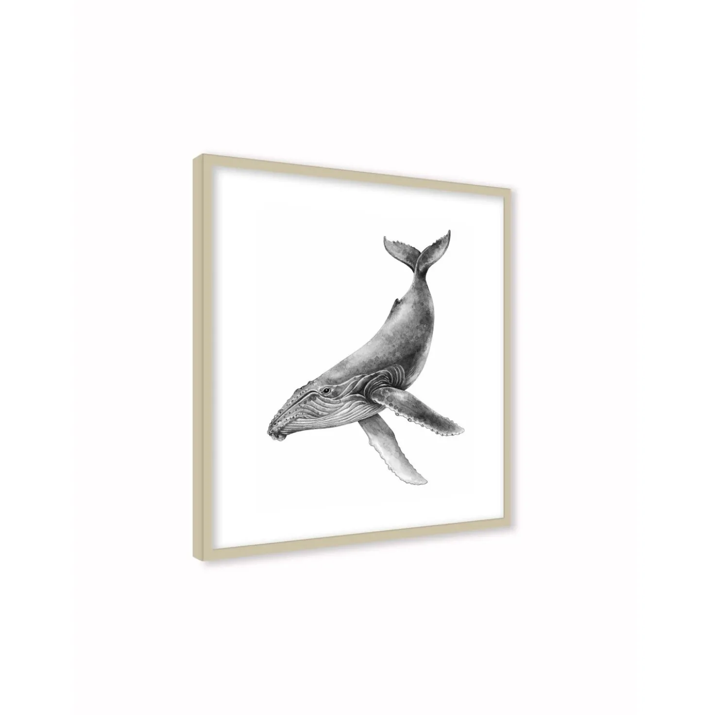 Stampa incorniciata 30x30 cm sea whale
