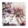 Stampa su vetro Dahlia 30x30 cm