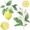 Stciker adesivo Lemons 2 fogli decorazione per parete 31x31 cm
