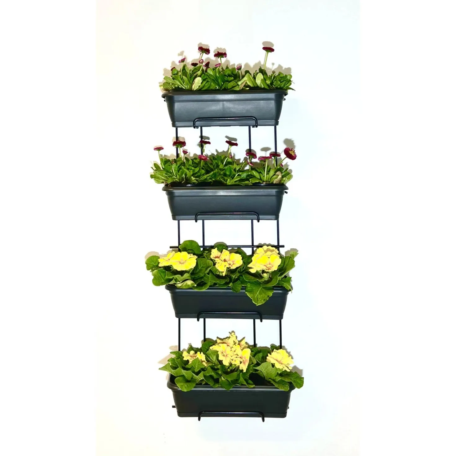 Supporto per cassette portafiori Venere da parete 4 piani H 90 cm