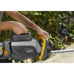 Tagliasiepi a batteria Alpina 48 V