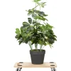 Tavola da trasporto MDF 57,5x29x9,5 cm 200 kg