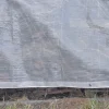 Telo occhiellato retinato Tenax Cover All polietilene 4x6 m bianco-trasparente