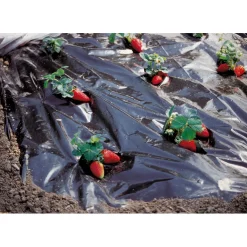 Telo pacciamatura microforato 1,5 m x 5 m