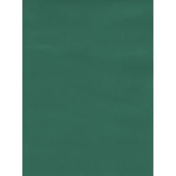 Tenda da sole a caduta verticale con rullo 150x250 cm verde